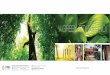 Mẫu Thiết kế Brochure công ty Bất Động Sản VNG Dự án V-Green Phố Nối