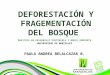 Presentación individual paula_belalcazar_deforestación