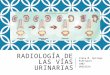 Estudios radiologicos de las vias urinarias