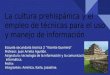culturas prehispanicas y el empleo de tecnicas para el uso y busqueda de informacion