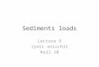 Sediments loads