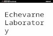 Echevarne Laboratory 2015
