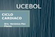 CLASE DE CARDIOLOGIA UCEBOL GRUPO A PARTE 2
