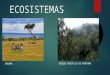 Exposición de Ecosistemas
