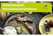Katriina Partanen: Kalatalouden markkinointiohjelma