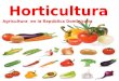 Horticultura (Agricultura en la República Dominicana)