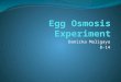 Danicka Egg osmosis experiment