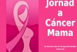 Jornada cáncer mama 2016