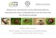 Besouros rola-bosta (Coleoptera: Scarabaeidae) como bioindicadores: estudos de caso e perspectivas na era da crise da biodiversidade