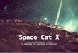 Space Cat X