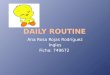 Daily routine nuevo