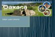 Desarrollo sustentable de Oaxaca