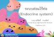 Endocrine system สำหรับนักเรียนผู้ช่วยพยาบาล 2559