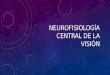 Neurofisiologia central de la vision ojo iii