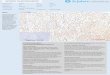 Immunohistochemistry Antibody Validation Report for Anti-MAP LC3β Antibody (STJ97398)