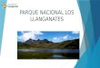 Parque nacional los llanganates