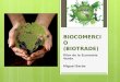 Biocomercio: Pilar Fundamental de la Economía Verde