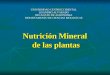 Nutricion mineral de las plantas