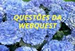Questões Da Webquest