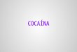 Cocaína: Efectos en el cuerpo