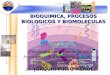 Bioquimica, procesos biologicos y complejidad de la  biomoleculas