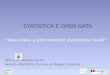 Caterina Caridi, Statistica e open data - "Open data e informazioni statistiche locali"