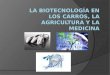 La biotecnología en los carros, la agricultura y medicna