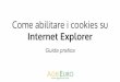 Tutorial: abilitare i cookies su internet explorer per acquistare online
