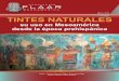 12 tintes naturales_maya_mesoamerica_etnobotanica_codice_artesania_prehispanico_colonial_tzutujil_mam