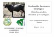 Producción bovina en Nicaragua: retos, oportunidades y estrategias_Siuna-2016