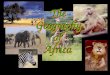 Geografia Africa - Completo