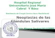 Neoplasias de las Glandulas Salivares  Ivan Minaya