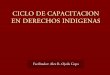Presentación del Ciclo de Capacitación en Derechos Indígenas 2011