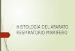 Histología del aparato respiratorio mamifero