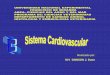 Histología del Sistema Cardiovascular