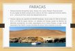 Paracas- Administración en Turismo y Hoteleria