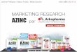 Azink digital strategy - marketing research