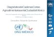 Diagnóstico de Cadenas Cortas Agroalimentarias en la Ciudad de México
