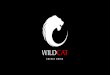 WildCat  Brand Presentation 07.12.2016