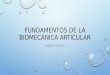 Fundamentos de la biomecánica articular