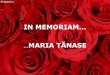 In Memoriam Maria Tanase