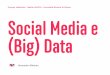 Social media e (big) Data