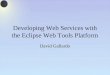 Developing Web Services with the Eclipse Web Tools Platform David Gallardo