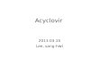 Acyclovir 2013.03.15 Lee, sang-hwi