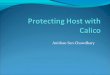 Protecting host with calico