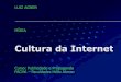Cultura da Internet - segundo M. Castells