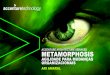 Metamorphosis - Agilidade para Mudanças organizacionais