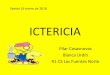 (2018-1-16) Ictericia (ppt)