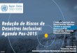 Reducao de Riscos Inclusiva - The Post 2015 Agenda