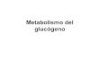 19.  metabolismo del glucogeno
